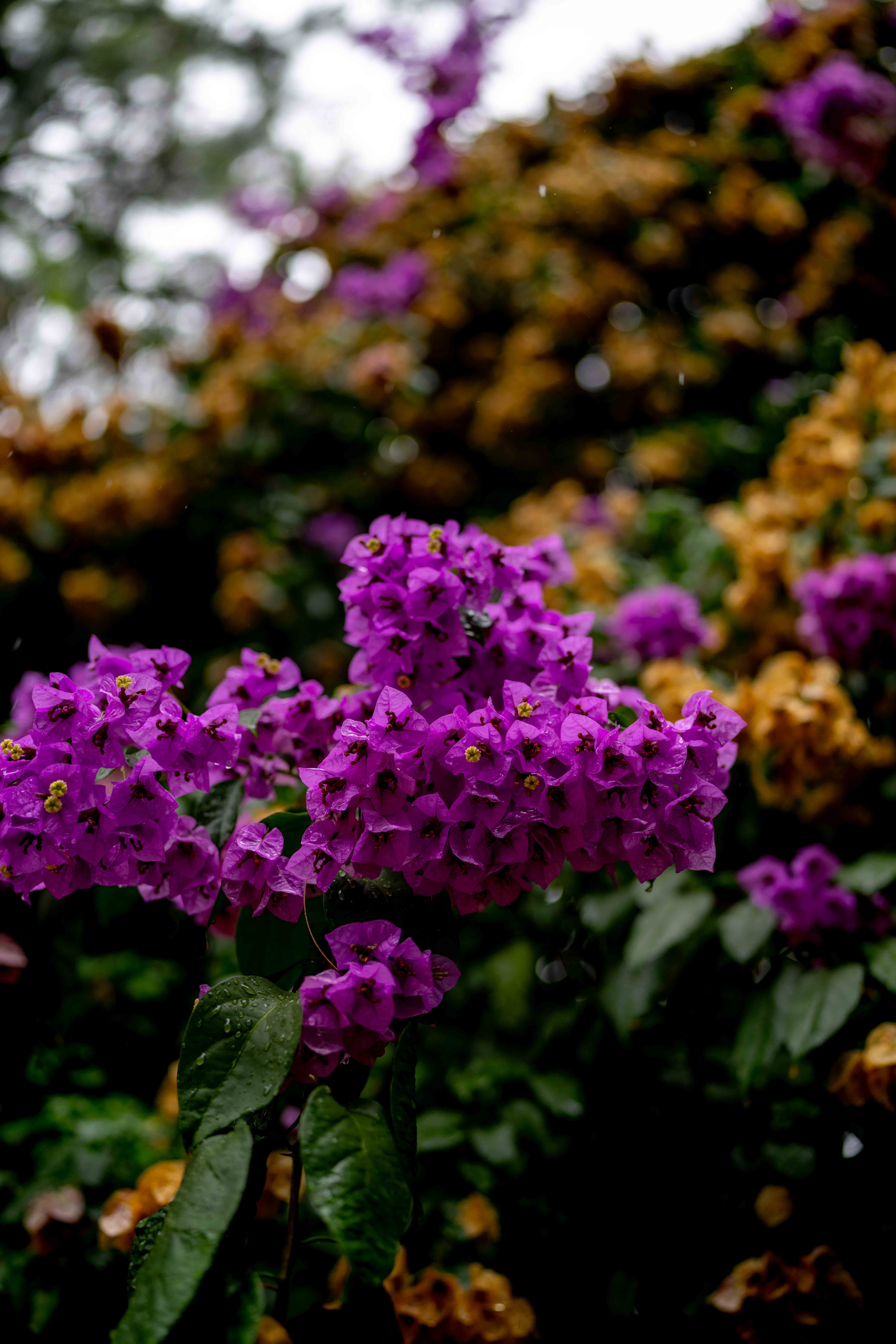 Photos from travel in Rome, Florence, Venice, Fall 2025.